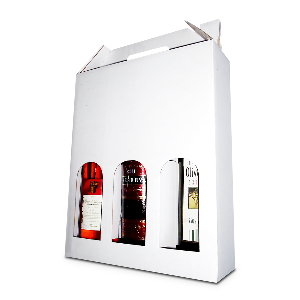 Fotografie einer Flaschen-Präsentverpackung mit Tragegriff